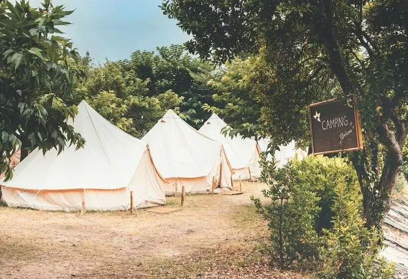 ホテル Star Surf Camps Moliets