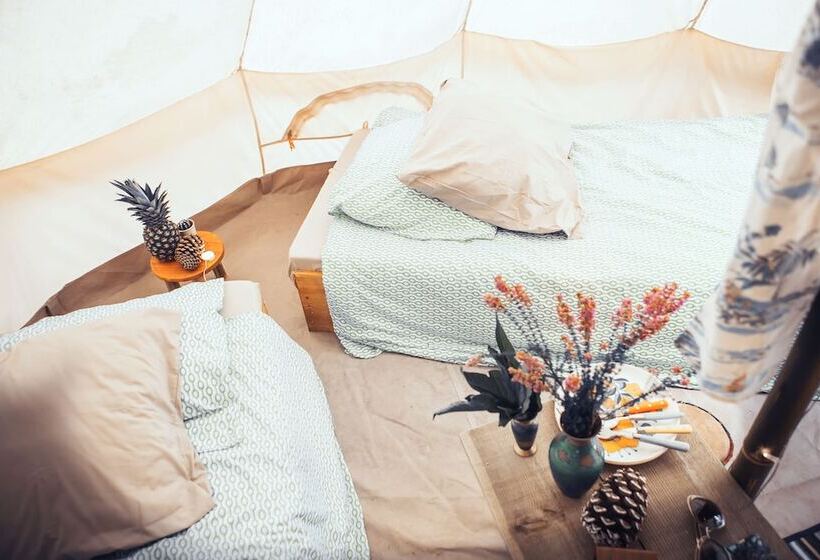 בית מלון כפרי Star Surf Camps Moliets