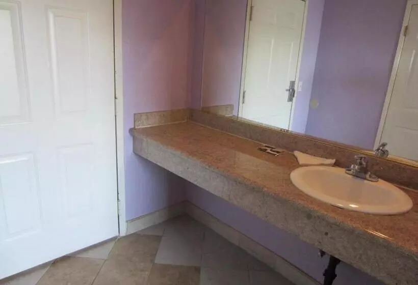 ホテル Starlight Inn, Valley Blvd   Downtown La