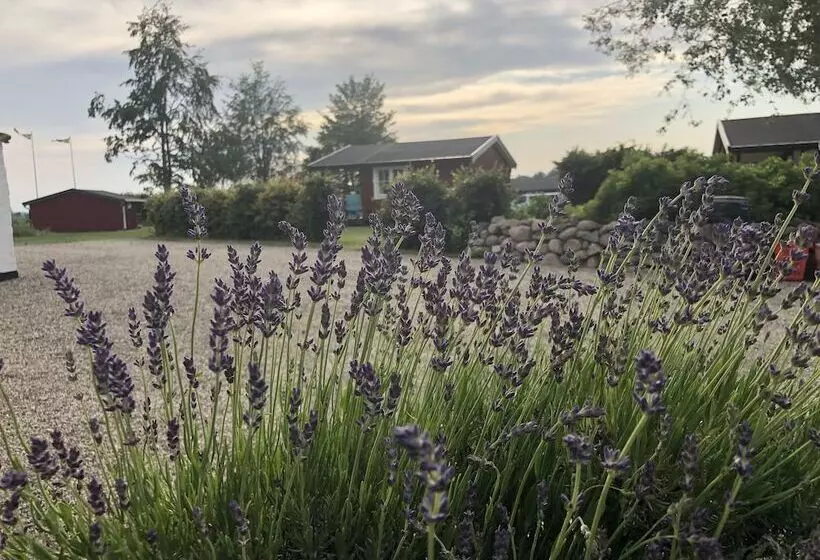 Mälarhusen Semesterby österlen   Stugor & Gårdssviter