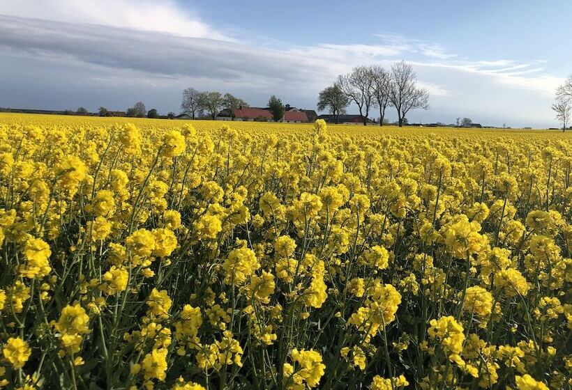 Mälarhusen Semesterby österlen Stugor & Gårdssviter