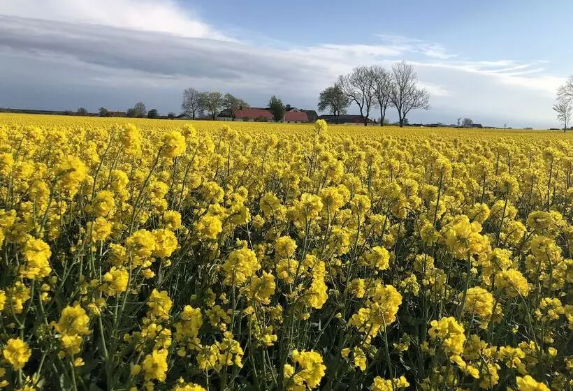 Mälarhusen Semesterby österlen   Stugor & Gårdssviter