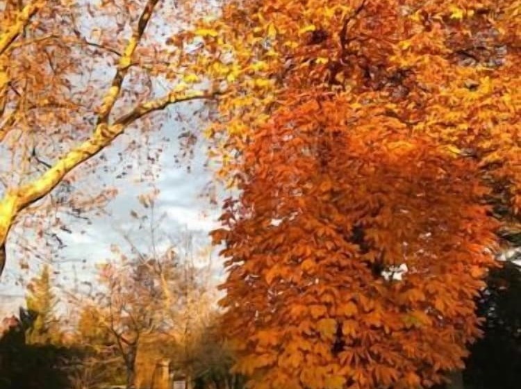 レジデンス La Durantie