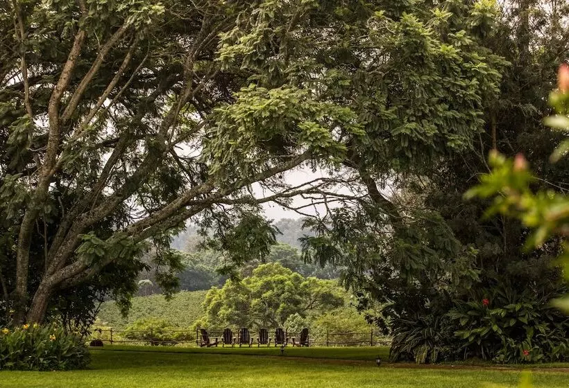 Elewana The Manor Ngorongoro