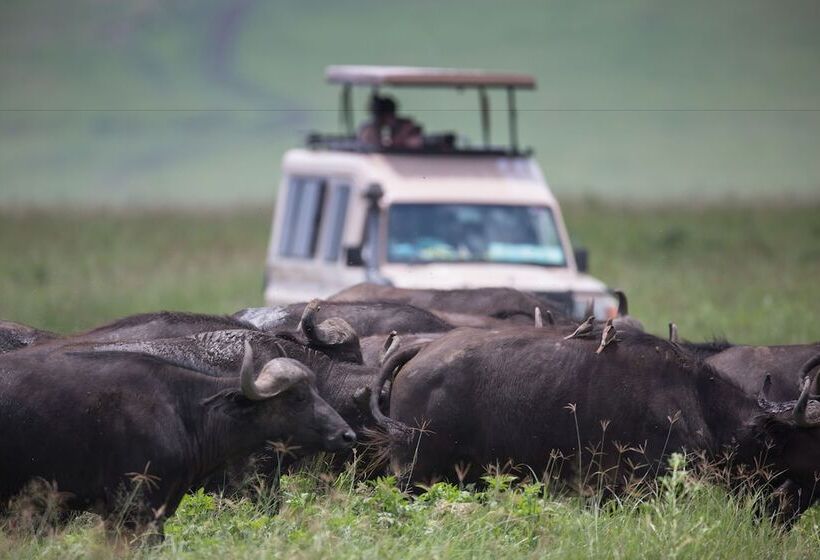 Elewana The Manor Ngorongoro