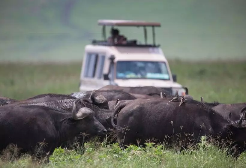 Elewana The Manor Ngorongoro