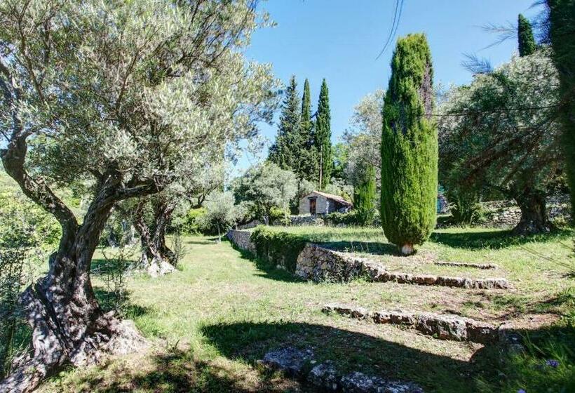 Le Mas Dormant En Provence