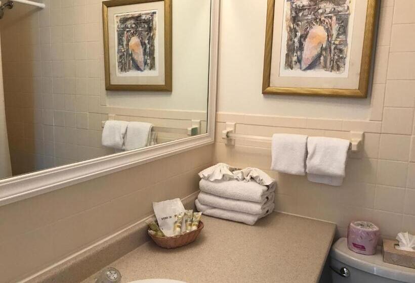 汽车旅馆  Ocean Surf Resort