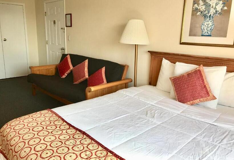 汽车旅馆  Ocean Surf Resort