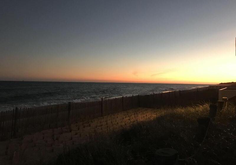 汽车旅馆  Ocean Surf Resort