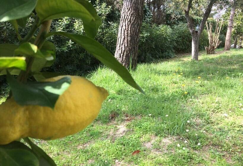 פנסיון Villa Saint Paul De Vence Angels