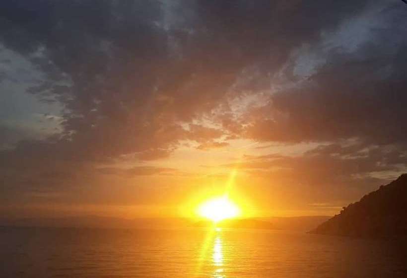 リゾートホテル Elisa Tatil Koyu