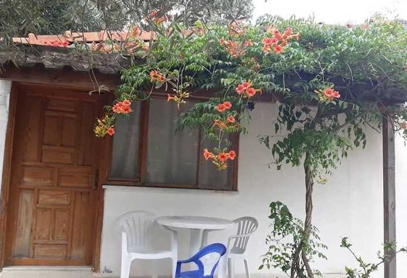 リゾートホテル Elisa Tatil Koyu