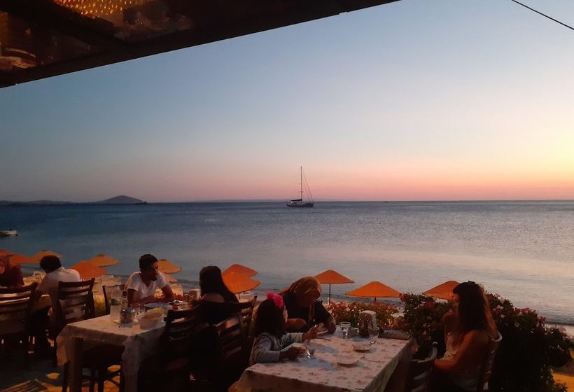 リゾートホテル Elisa Tatil Koyu