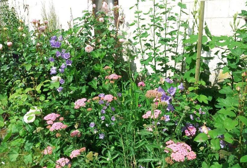 B&b Au Petit Tambour D Autingues