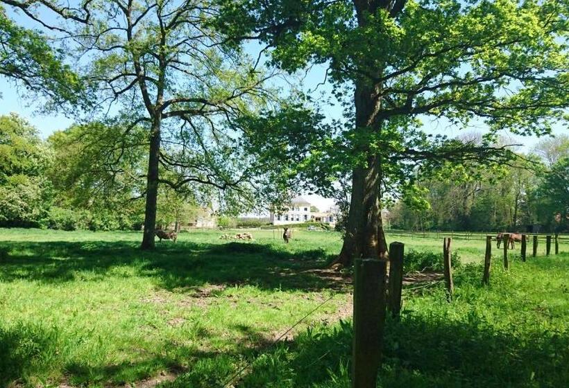 B&b Au Petit Tambour D Autingues