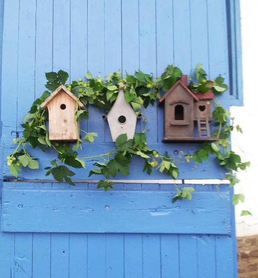 B&b Au Petit Tambour D Autingues