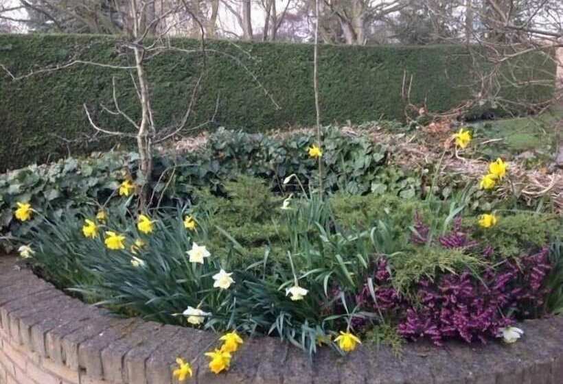 צימר Chalk And Cheese