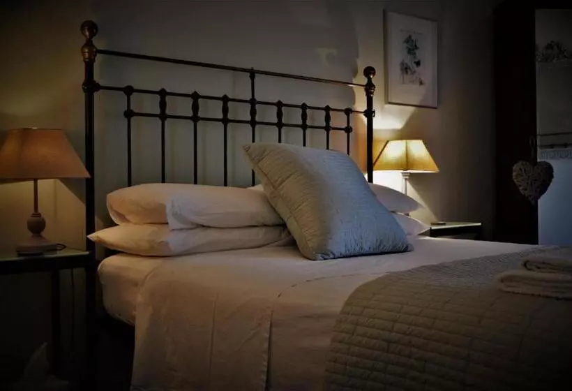 Aamiaismajoitus (B&B) Le Chat Sur Le Toit