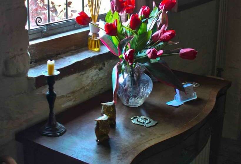 住宿加早餐  Wickham Manor