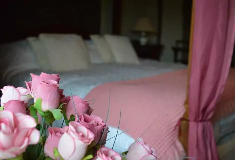 Aamiaismajoitus (B&B) Wickham Manor