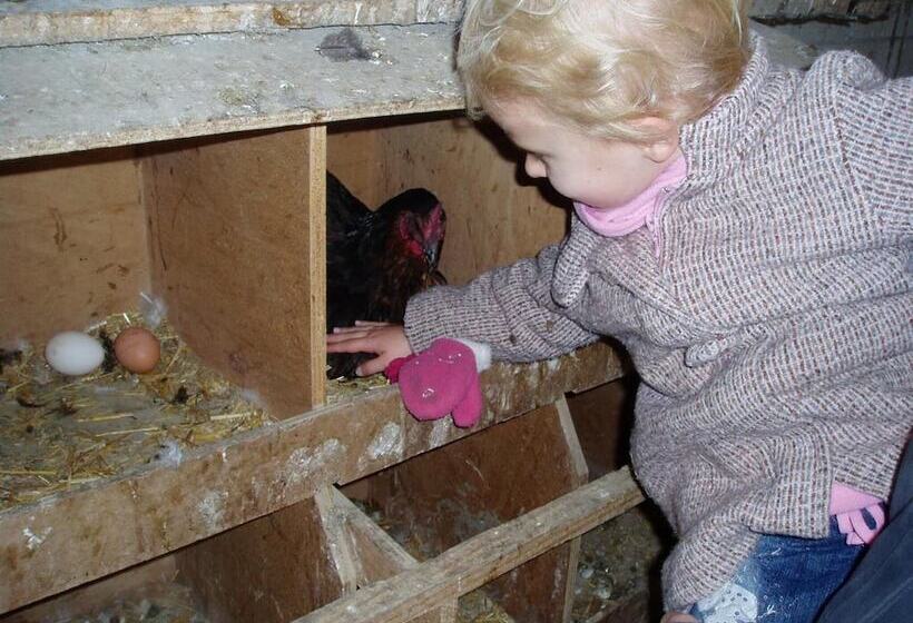 Chambres D Hôtes Domaine Du Bas Chalus