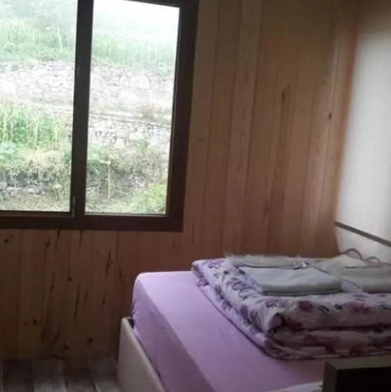 Dilek Apart