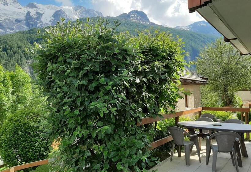 Locations Appartements & Chalets   Village Piéton, Vue Glaciers