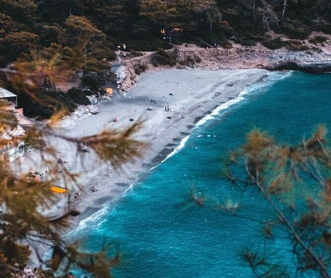 酒店 Shambala Lodge