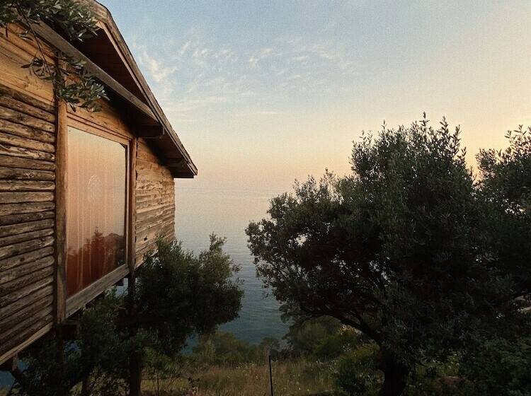 酒店 Shambala Lodge