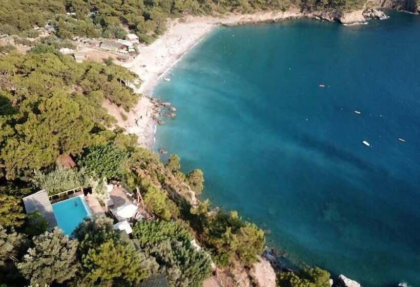 酒店 Shambala Lodge