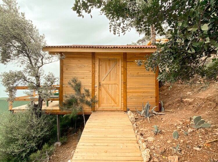 酒店 Shambala Lodge