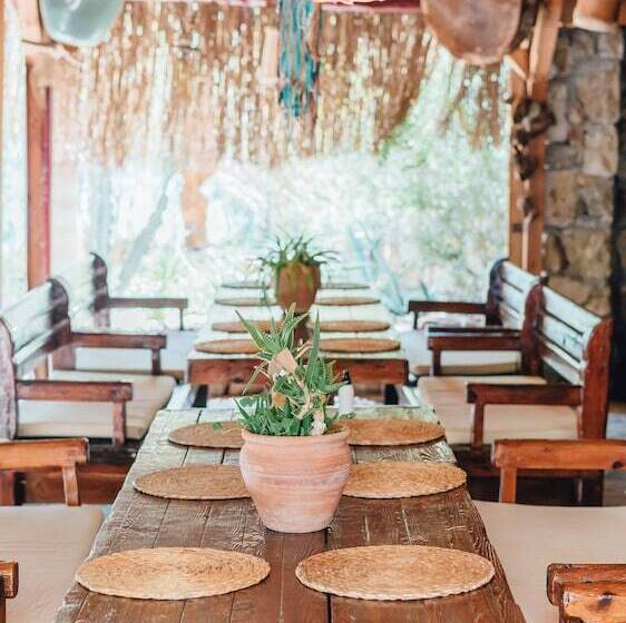 酒店 Shambala Lodge