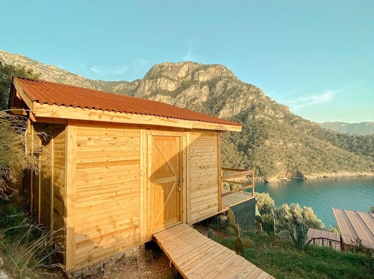 酒店 Shambala Lodge