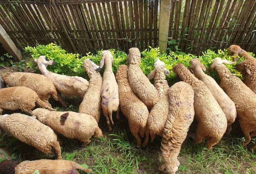 فندق The Moon At Pai