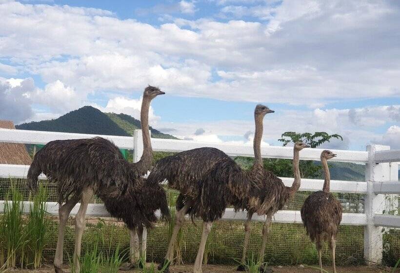 فندق The Moon At Pai