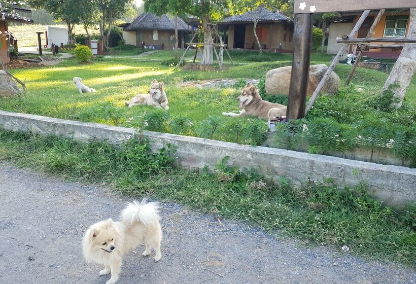 فندق The Moon At Pai