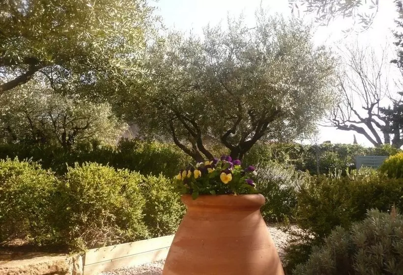 Les Olivettes