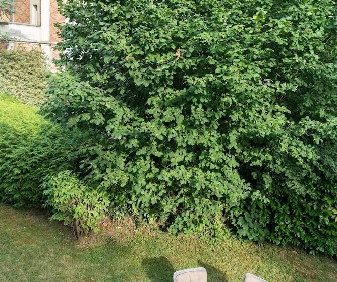 פנסיון Chateau Valcreuse