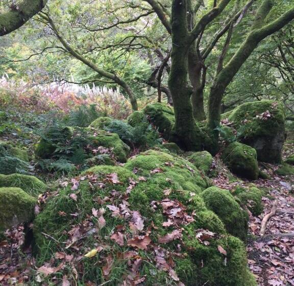 Pensió Pisgah Guesthouse