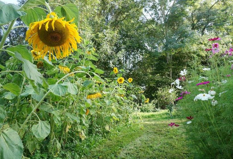 ベッドアンドブレックファースト Green Home