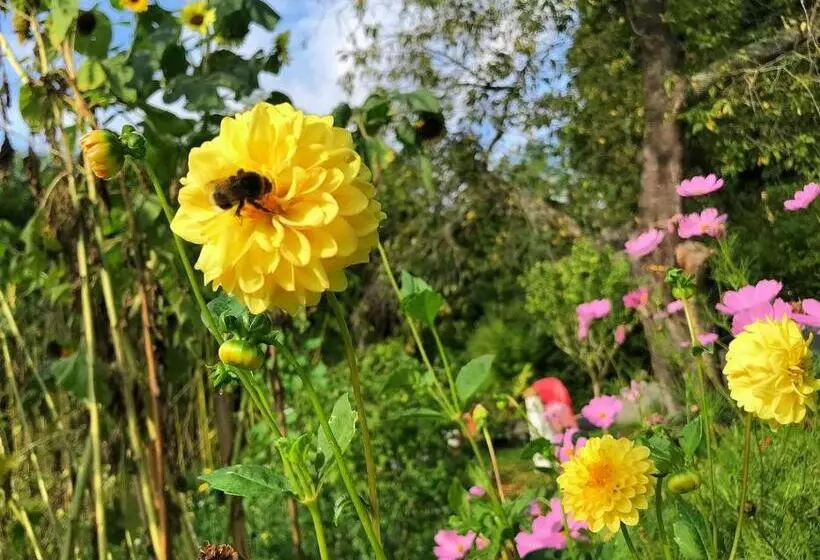 Bed and Breakfast Green Home