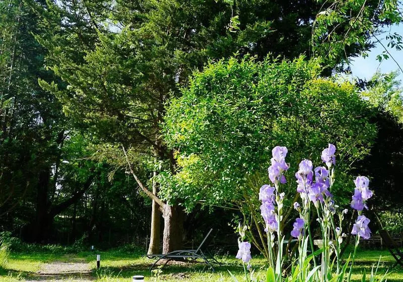 Aamiaismajoitus (B&B) Green Home