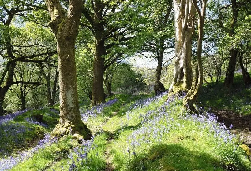 Bridge Cafe Bed And Breakfast