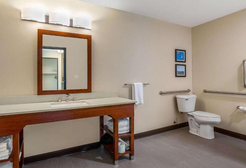 Hotel Comfort Inn & Suites Ames Near Isu Campus