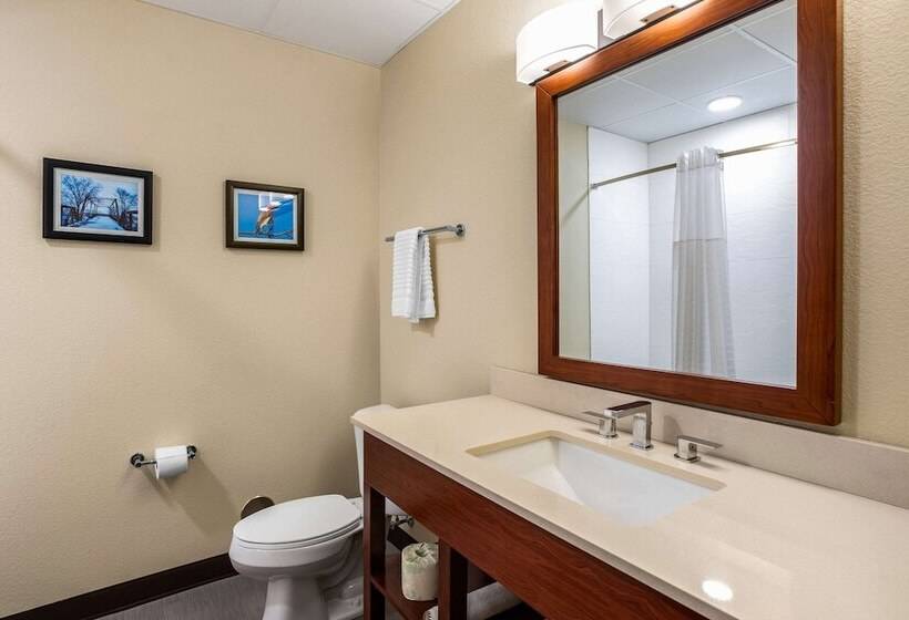 Hotel Comfort Inn & Suites Ames Near Isu Campus
