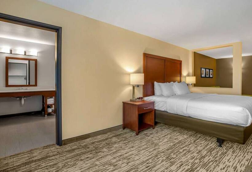 Hotel Comfort Inn & Suites Ames Near Isu Campus