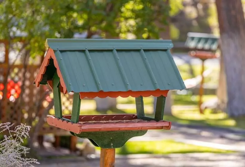 هتل Ruidoso Lodge Cabins