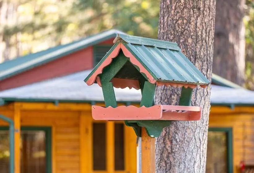 هتل Ruidoso Lodge Cabins