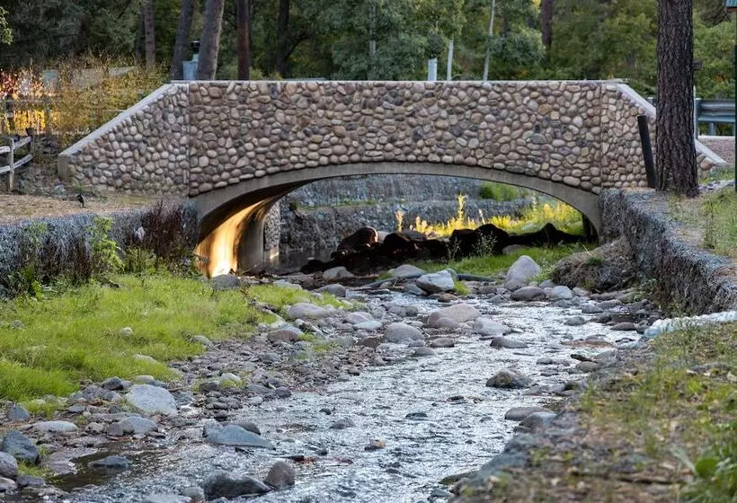 هتل Ruidoso Lodge Cabins
